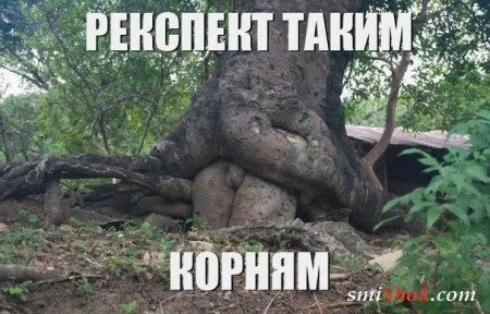 Фото приколы, смотри их осторожно