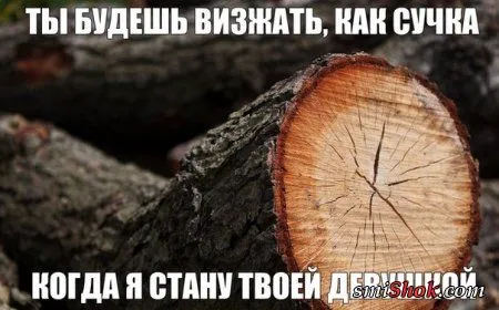 Фото приколы, смотри их осторожно