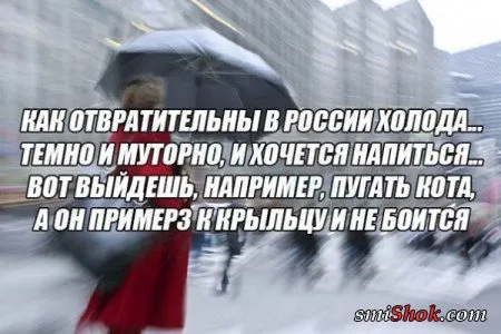 Фото приколы, смотри их осторожно