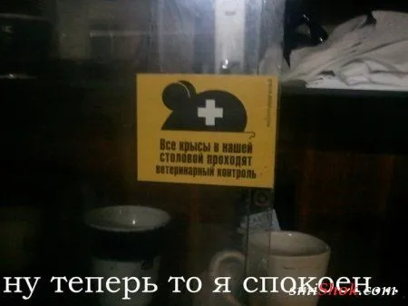 Прикольные картинки и фото Прикольные картинки и фото