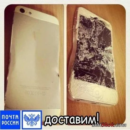 Прикольные картинки и фото Прикольные картинки и фото