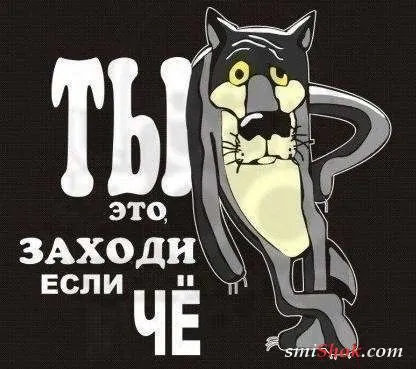 Прикольные картинки и фото