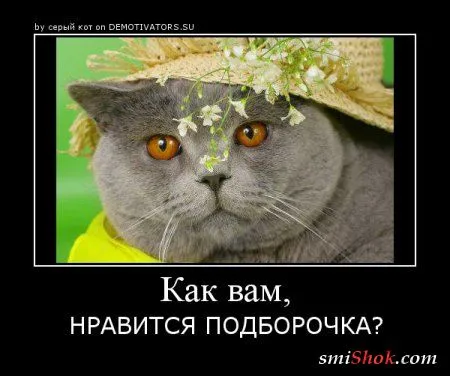Демотиваторы в любой день у нас хороши Демотиваторы в любой день у нас хороши