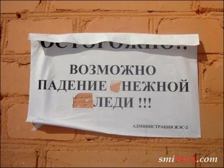 Фото приколы и только для серьезных людей