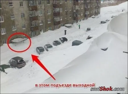 Фото приколы и только для серьезных людей