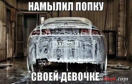 Фото приколы каждый день тока смешные или просто веселые