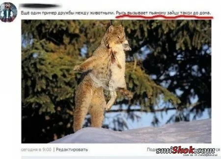 Фото приколы каждый день тока смешные или просто веселые