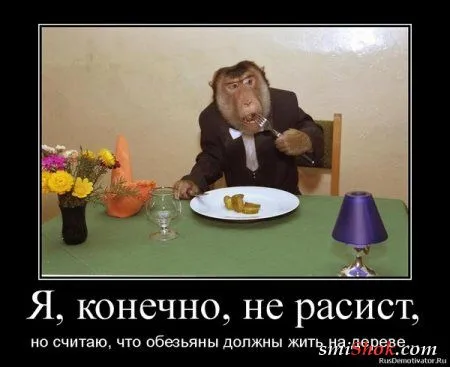 Весёлые демотиваторы