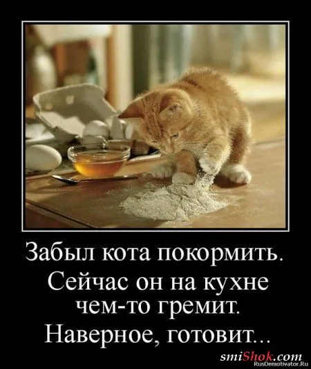 Весёлые демотиваторы