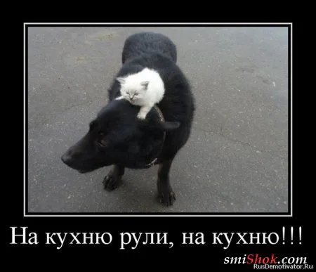 Весёлые демотиваторы