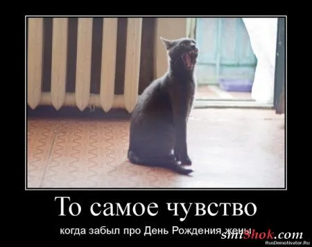 Весёлые демотиваторы