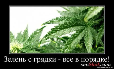 Весёлые демотиваторы