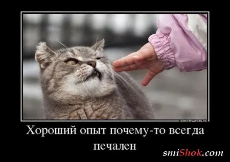 Весёлые демотиваторы