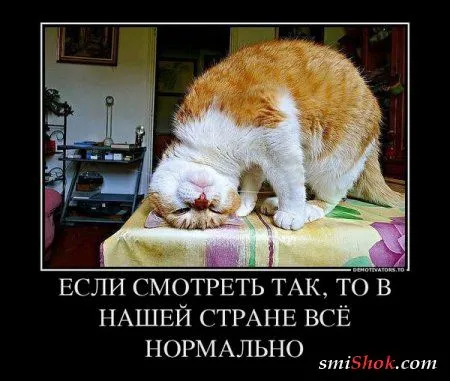 Весёлые демотиваторы