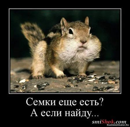 Весёлые демотиваторы