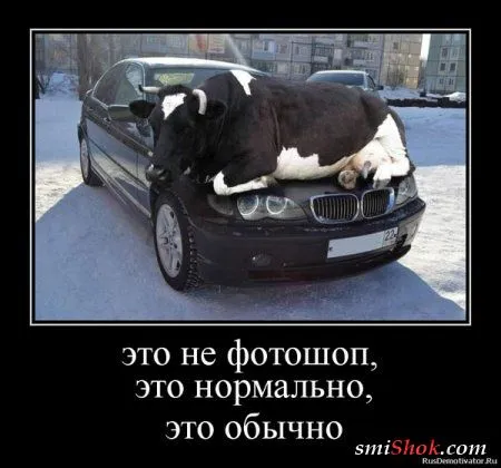 Весёлые демотиваторы