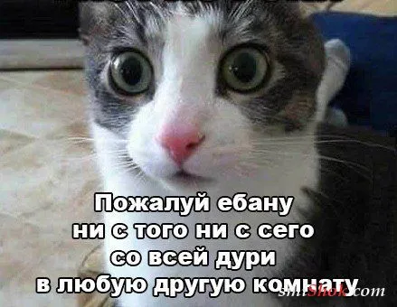 Приколы, нечто нескончаемое у нас Приколы, нечто нескончаемое у нас