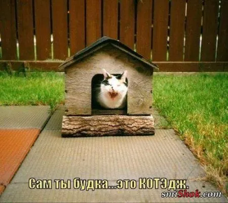 Приколы, нечто нескончаемое у нас Приколы, нечто нескончаемое у нас
