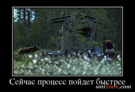 Приколы, нечто нескончаемое у нас Приколы, нечто нескончаемое у нас