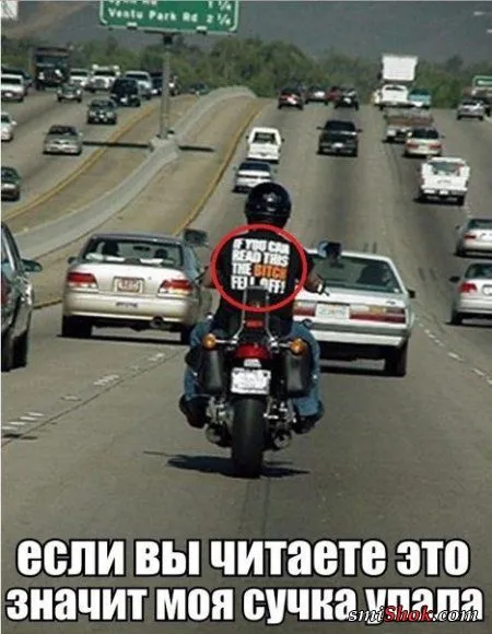 Приколы, нечто нескончаемое у нас Приколы, нечто нескончаемое у нас