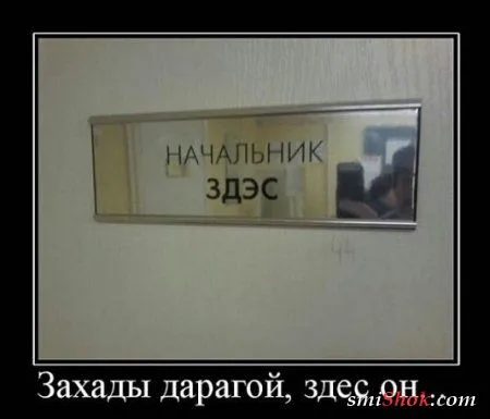 Прикольные картинки в разброс Прикольные картинки в разброс