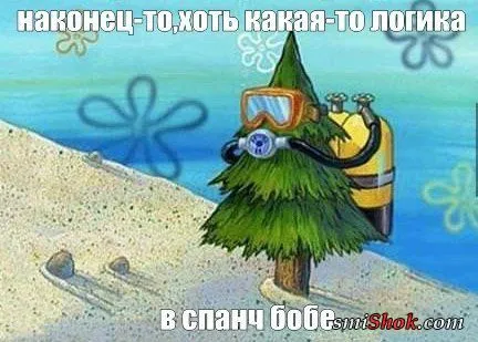Прикольные картинки в разброс Прикольные картинки в разброс