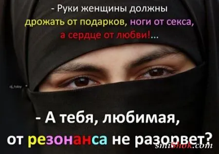 Афоризмы, цитаты и статусы в фотографиях