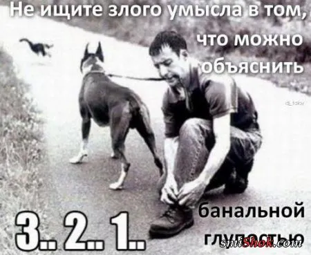 Афоризмы, цитаты и статусы в фотографиях