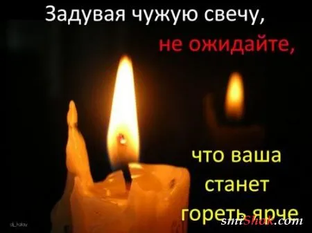 Афоризмы, цитаты и статусы в фотографиях