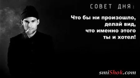 Афоризмы, цитаты и статусы в фотографиях