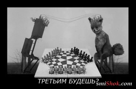 Демотиваторы как всегда подборке прикольных