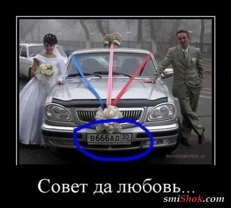 Демотиваторы как всегда подборке прикольных