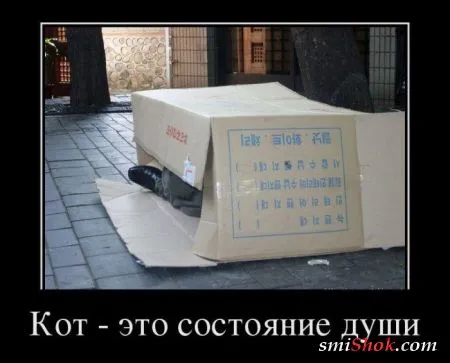 Демотиваторы как всегда подборке прикольных