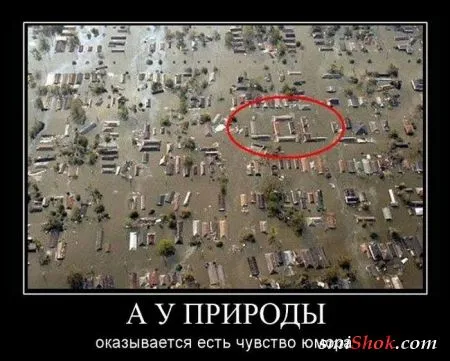 Демотиваторы как всегда подборке прикольных