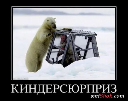 Демотиваторы как всегда подборке прикольных