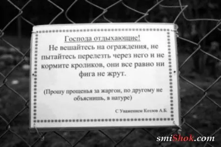 Фото приколы каждый день тока смешные или просто веселые