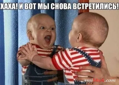 На сегодня новые фото приколы