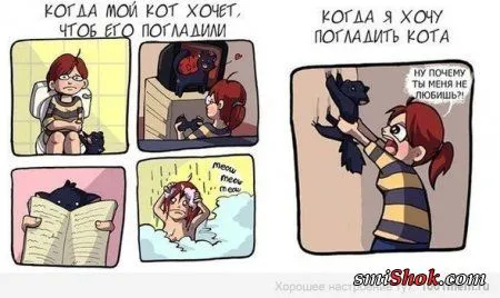 Приколы, которых много не бывает Приколы, которых много не бывает