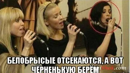 Приколы, которых много не бывает Приколы, которых много не бывает