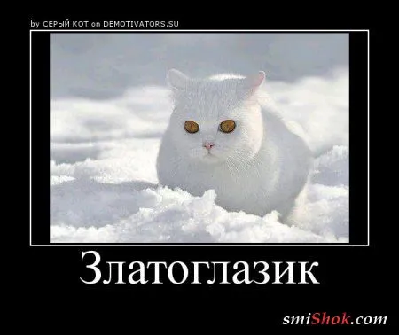 Демотиваторы, время проведенное на ура