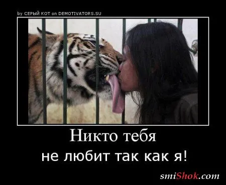 Демотиваторы, время проведенное на ура