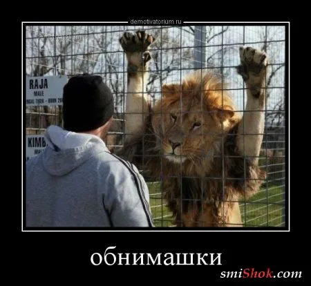 Вечерние демки на среду Вечерние демки на среду