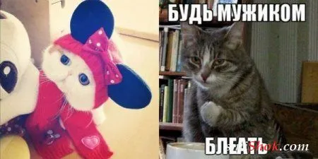Фото приколы сделают твой день позитивней