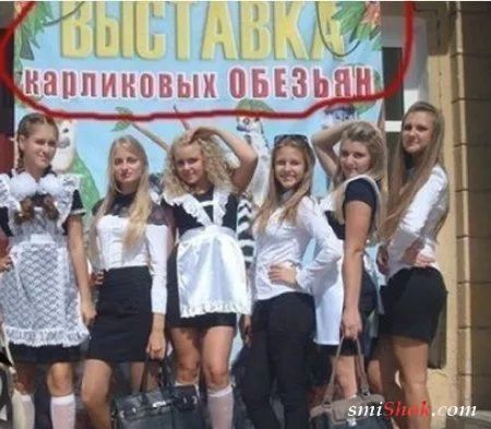 Фото приколы сделают твой день позитивней