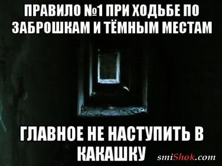 Фото приколы сделают твой день позитивней