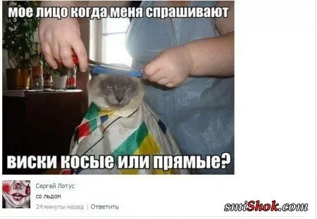 Фото приколы сделают твой день позитивней