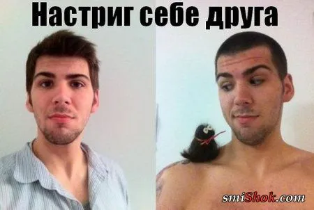 Ассорти фото приколы и картинки