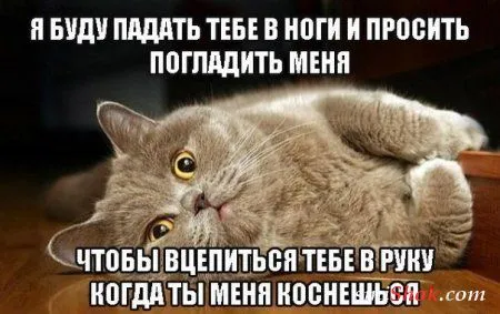 Только самые смешные приколы Только самые смешные приколы