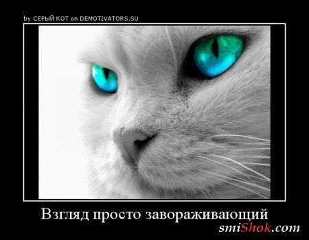 Демотиваторы, улыбки в любое время Демотиваторы, улыбки в любое время