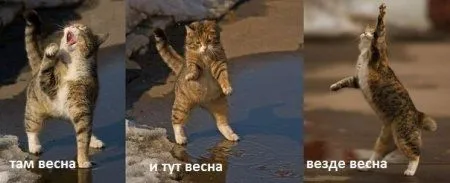 Приколы - они и весной приколы Приколы - они и весной приколы